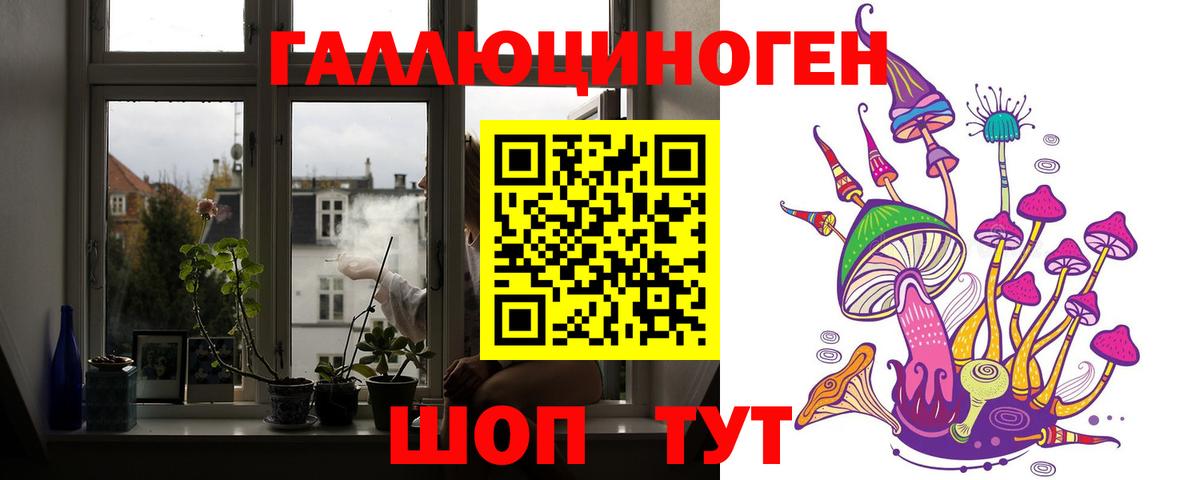 Алапаевск  Галлюциногенные грибы прущие грибы  Вход с VPN 